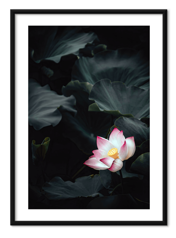 free downloadable wall art print from the nature collection, download this poster for free