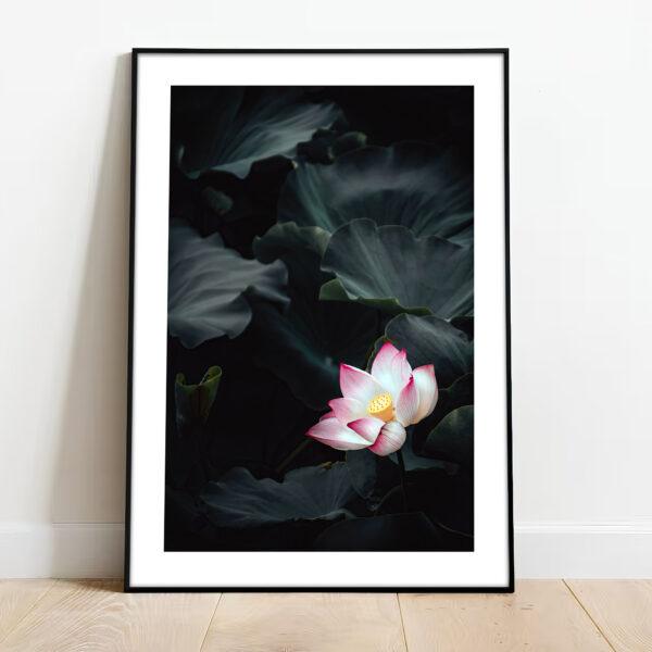 free downloadable wall art print from the nature collection, download this poster for free