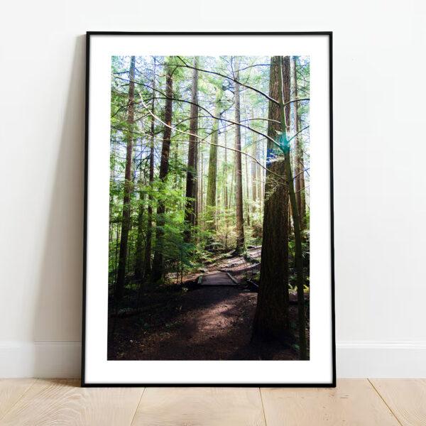 free downloadable wall art print from the nature collection, download this poster for free