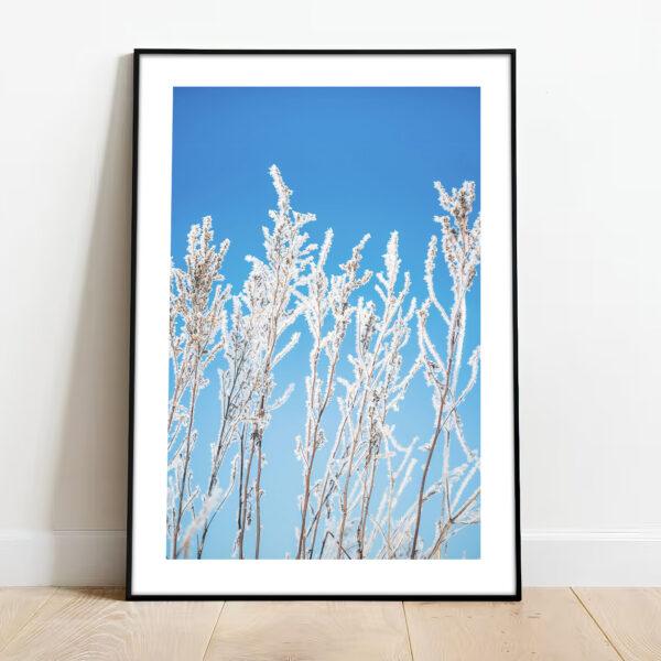 free downloadable wall art print from the nature collection, download this poster for free