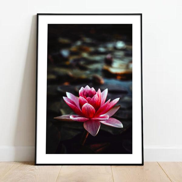 free downloadable wall art print from the nature collection, download this poster for free